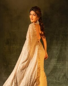 Sreeleela saree 2